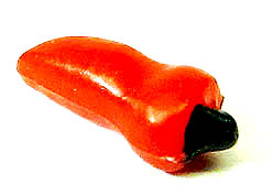 Chili/Paprika rot miniatur